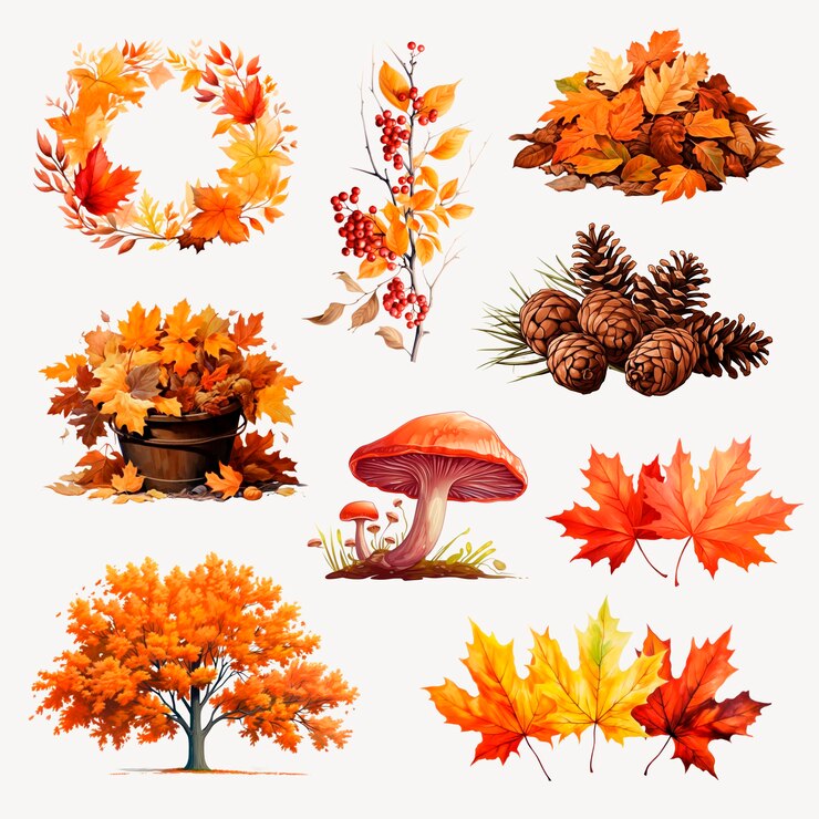 PSD natura autunnale di png sullo sfondo trasparente