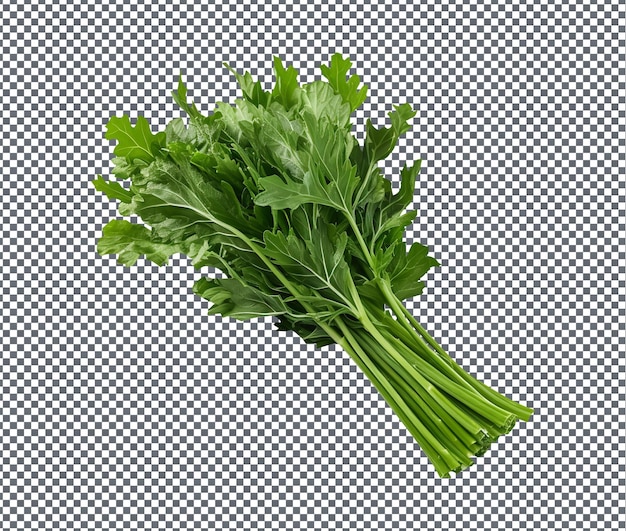natural and fresh mizuna a peppery isolated on transparent background