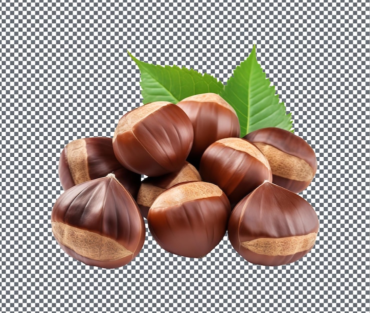 PSD natural and fresh ozark chinquapin nuts isolated on transparent background