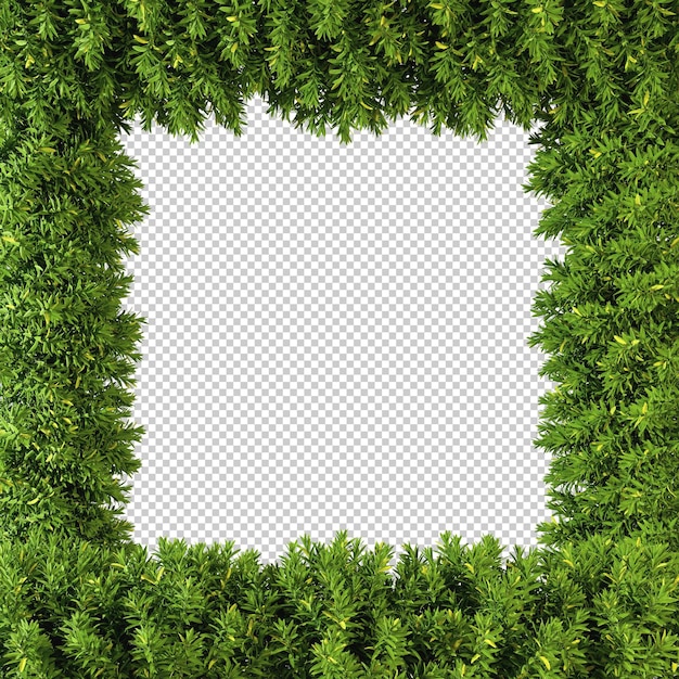 Naturaleza verde árbol plantas rectángulo marco 3d renderizado