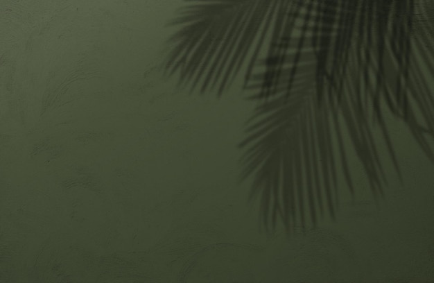 Natureza fundo de verão de sombras folhas de palmeira