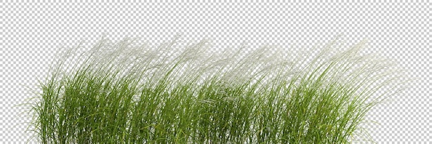 PSD naturgraswiese fließen ausgeschnittene hintergründe 3d-rendering