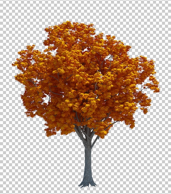 Naturobjektbaum lokalisierte weißen Hintergrund