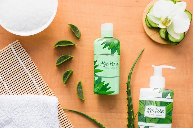 Naturproduktwerkzeuge mit Aloe Vera