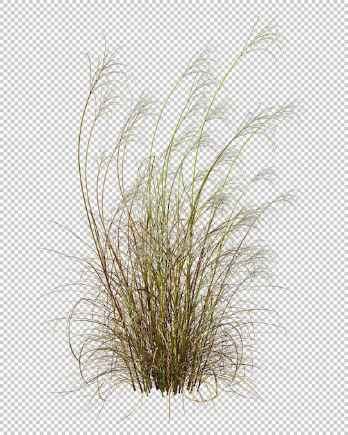 Naturrasenfeld fließende 3D-Rendering png ausgeschnittene Hintergründe