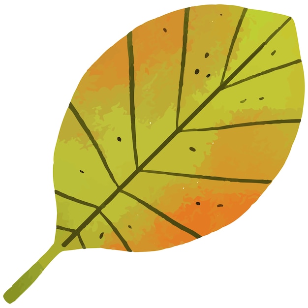 Naturvegetation und botanisches Element