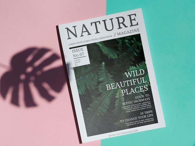Naturzeitschriftspott oben auf einfachem Hintergrund