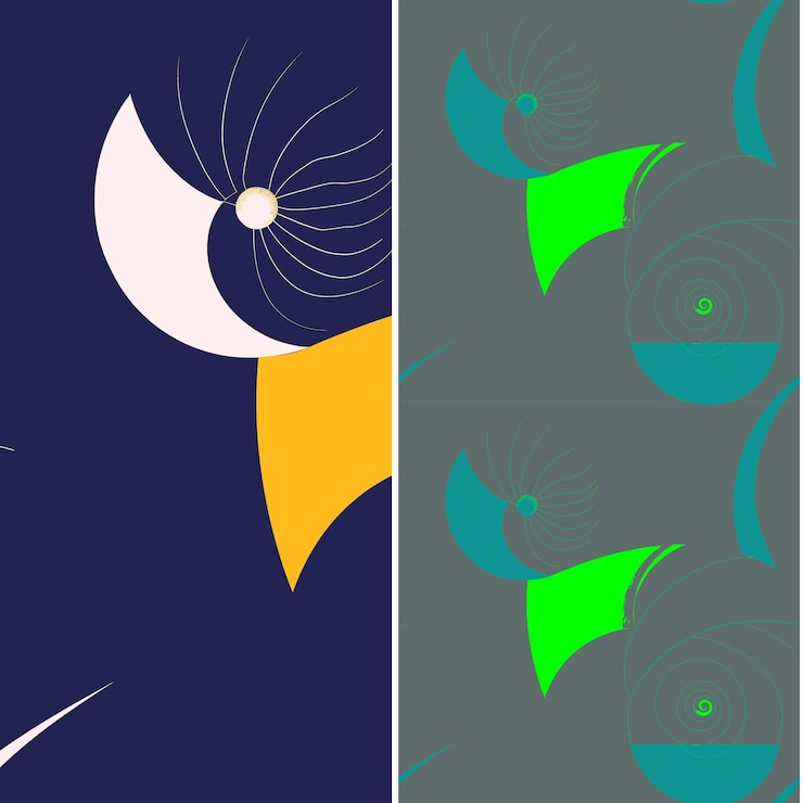 PSD nautilus com silhueta espiral geométrica gráfico minimal de natureza desenhos vetoriais de padrões