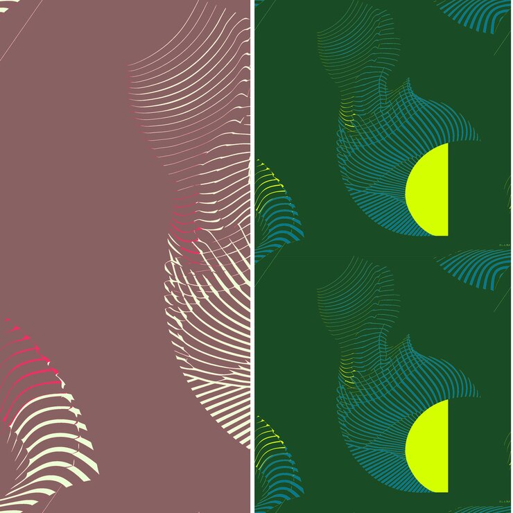 PSD nautilus com silhueta espiral geométrica gráfico minimal de natureza desenhos vetoriais de padrões