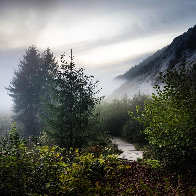 nella natura Morning Ai Generare nebbia