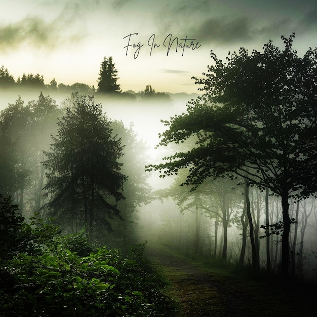 nella natura Morning Ai Generare nebbia