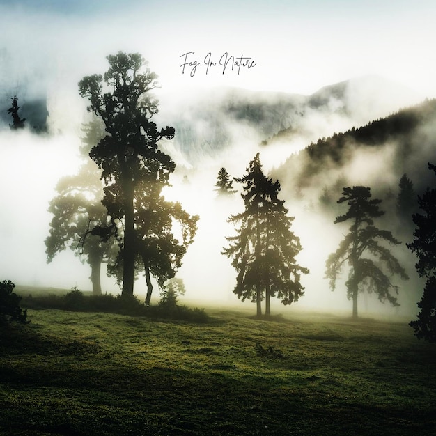 nella natura Morning Ai Generare nebbia