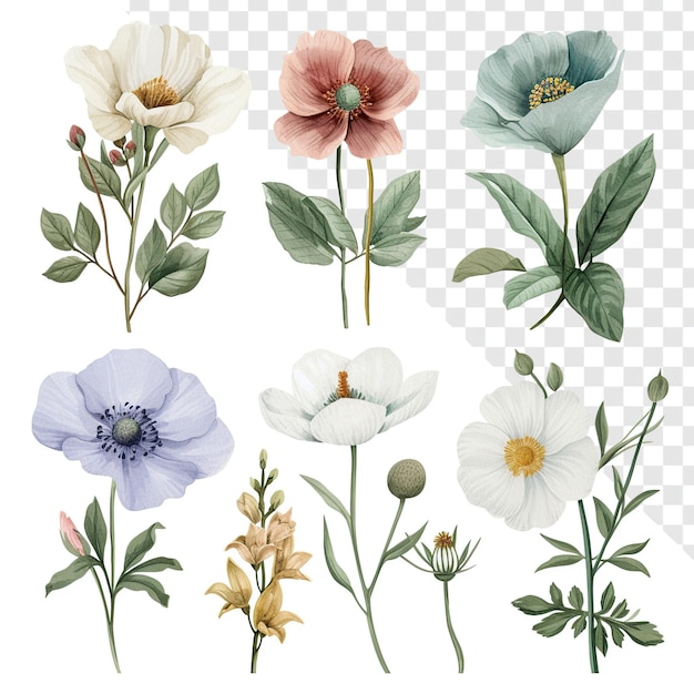 Neutrales schema einfache frühlingsblumen aquarell clipart-set