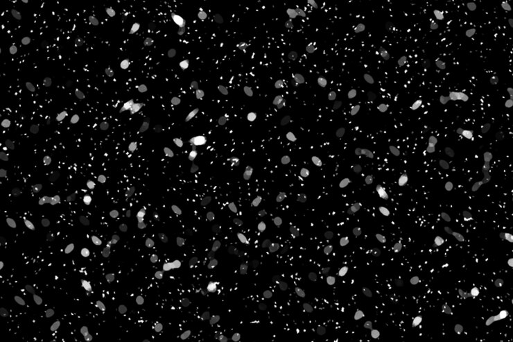 PSD la nieve cae por la noche