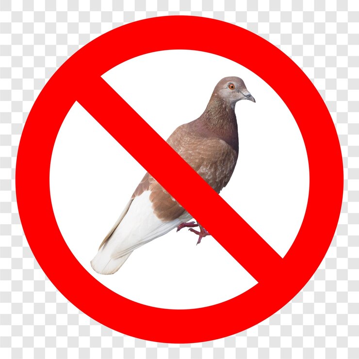 PSD no pigeons sign transparent
