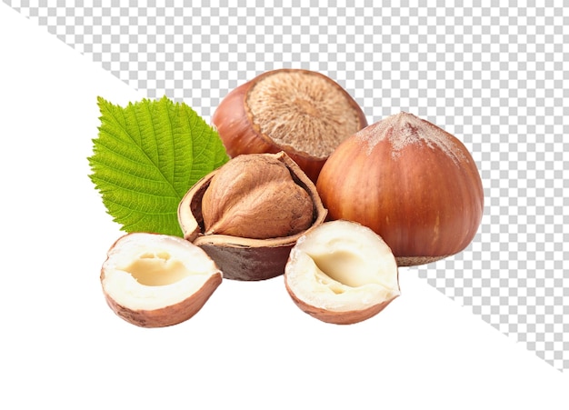 PSD noisette png