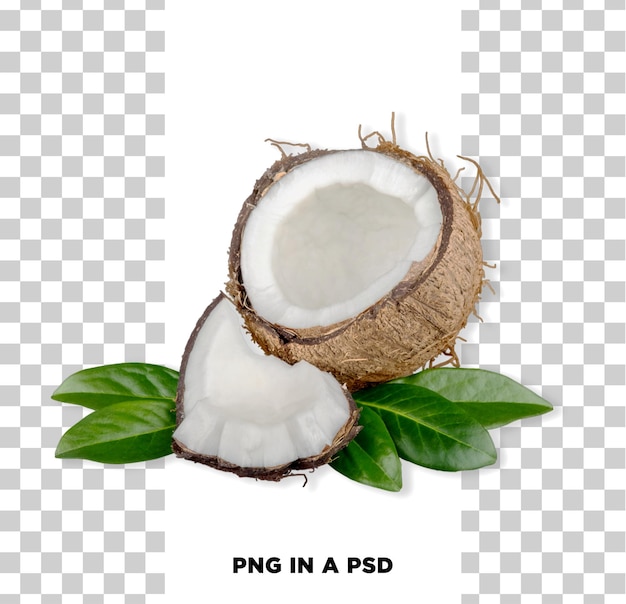 Noix de coco fraîches et feuilles de palmier Delight tropical isolé sur un fond transparent