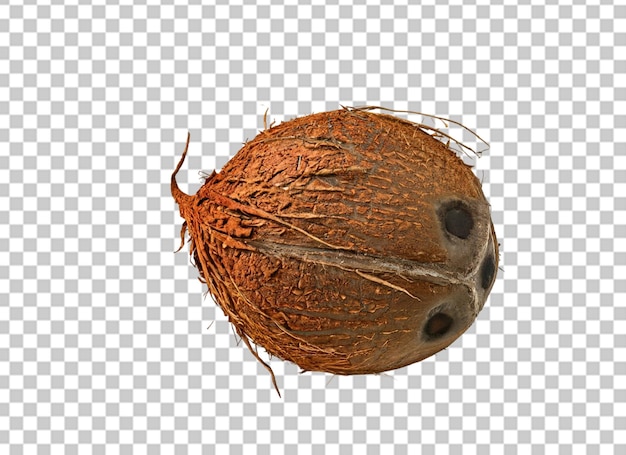 Noix de coco isolée sur un fond transparent