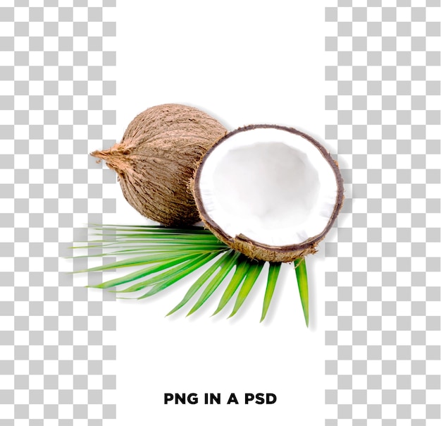 Noix de coco à moitié Fruits tropicaux frais Pâte blanche Coquille brune isolée sur fond transparent