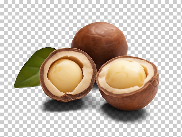 PSD noix de macadamia isolés sur fond transparent png psd