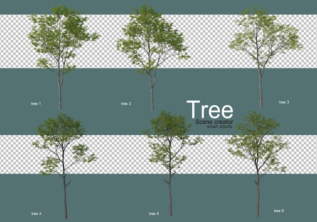 De nombreux types d'arbres différents