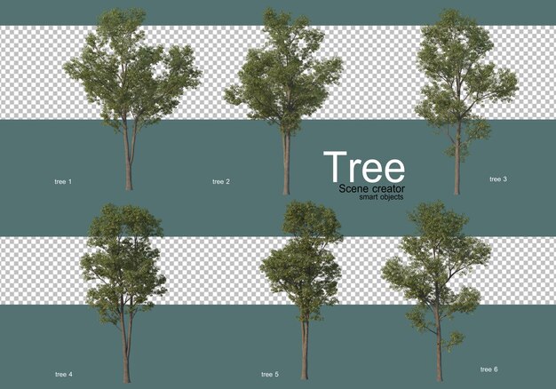 De nombreux types d'arbres différents
