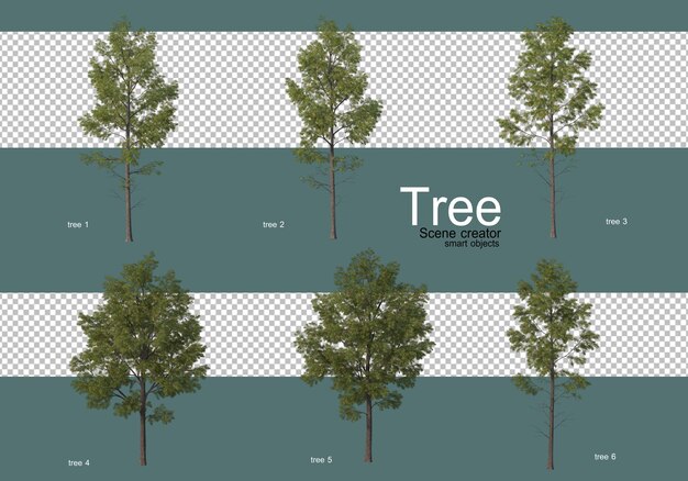 De nombreux types d'arbres différents