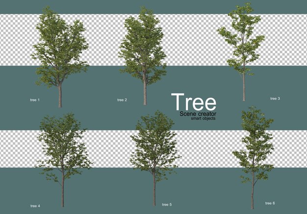 De nombreux types d'arbres différents