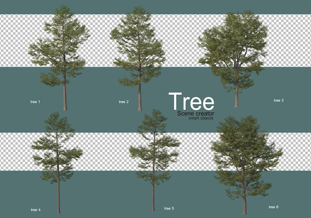 De Nombreux Types D'arbres Différents