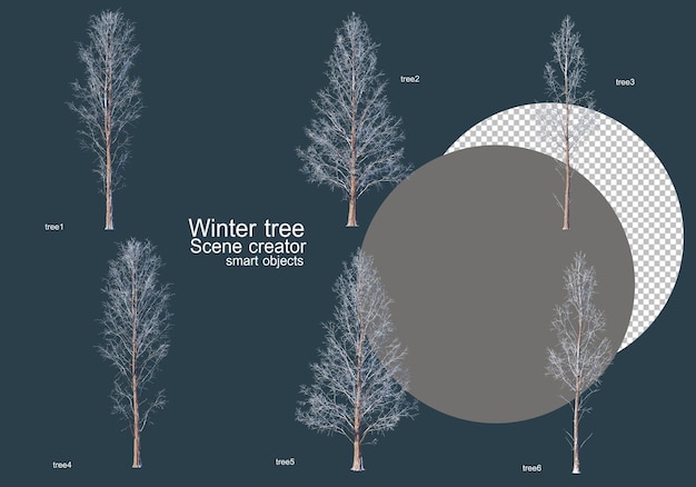 PSD de nombreux types d'arbres en hiver