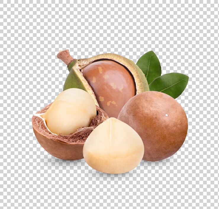 PSD nueces de macadamia con hojas aisladas premiun psd
