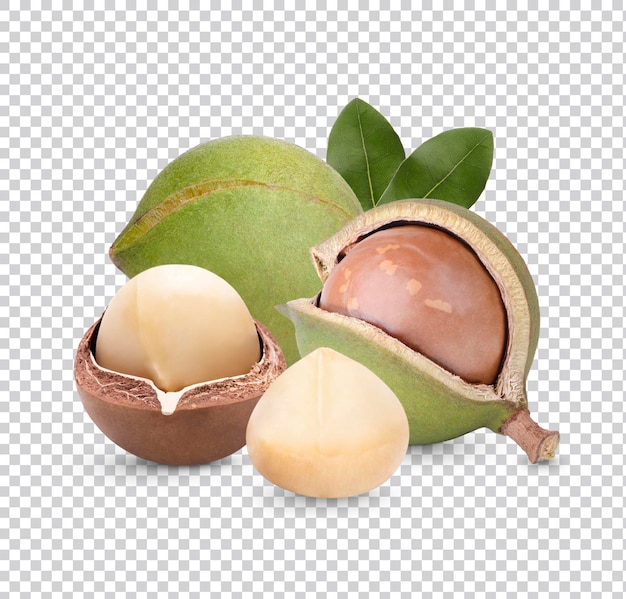 Nueces de macadamia con hojas aisladas Premiun PSD