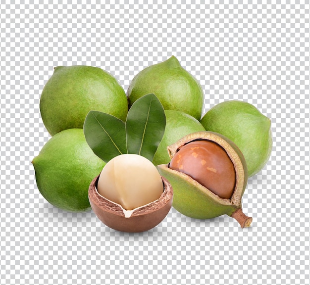 Nueces de macadamia con hojas aisladas Premiun PSD