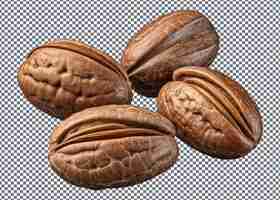 PSD nueces de pecan