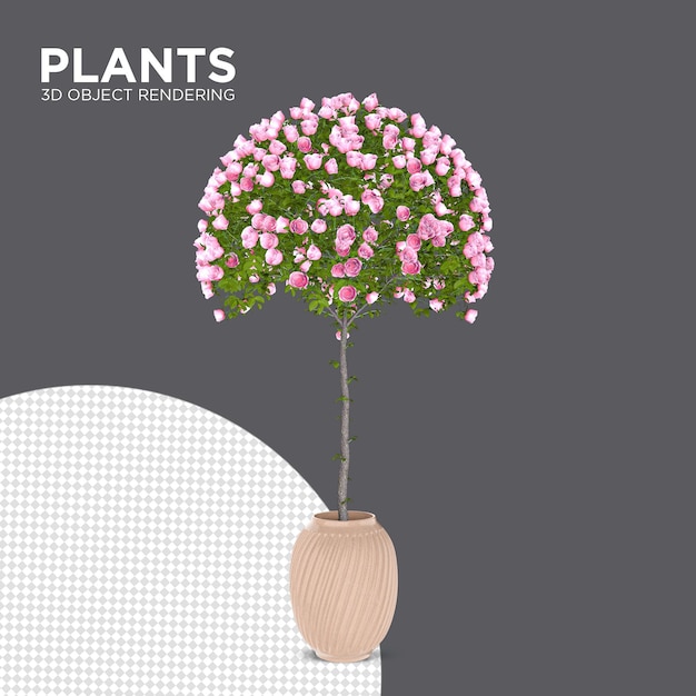 Nueva planta plantas de interior renderizado 3d
