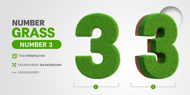 Numéro 3 En Rendu 3d Avec De L'herbe Réaliste