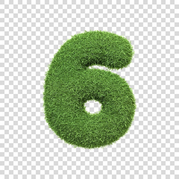 PSD el número 6 en forma de densa hierba verde sobre un telón de fondo blanco puro número 6 vista delantera