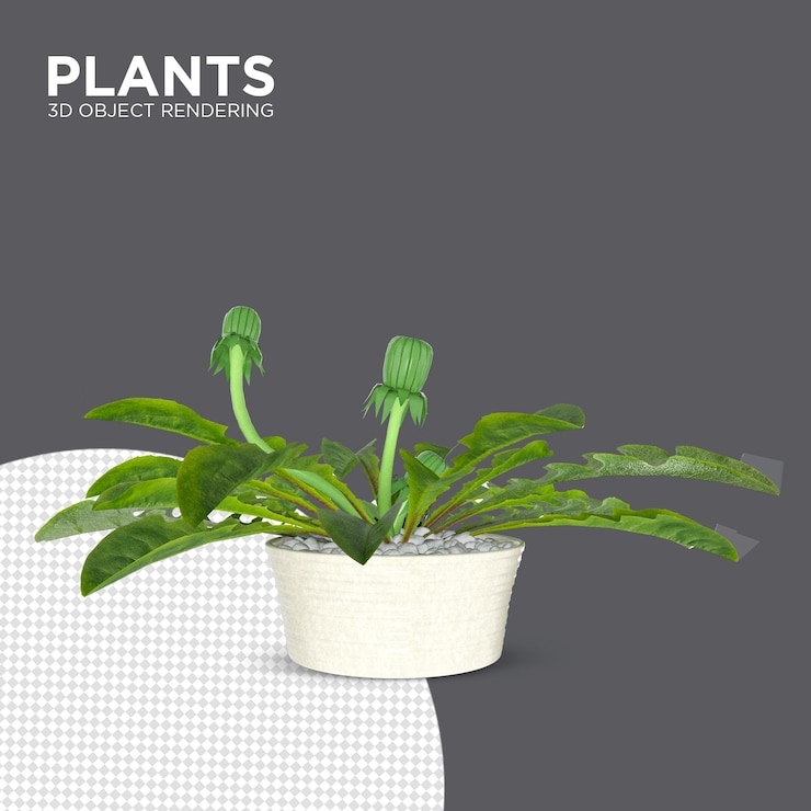 PSD nuovo impianto piante d'appartamento rendering 3d