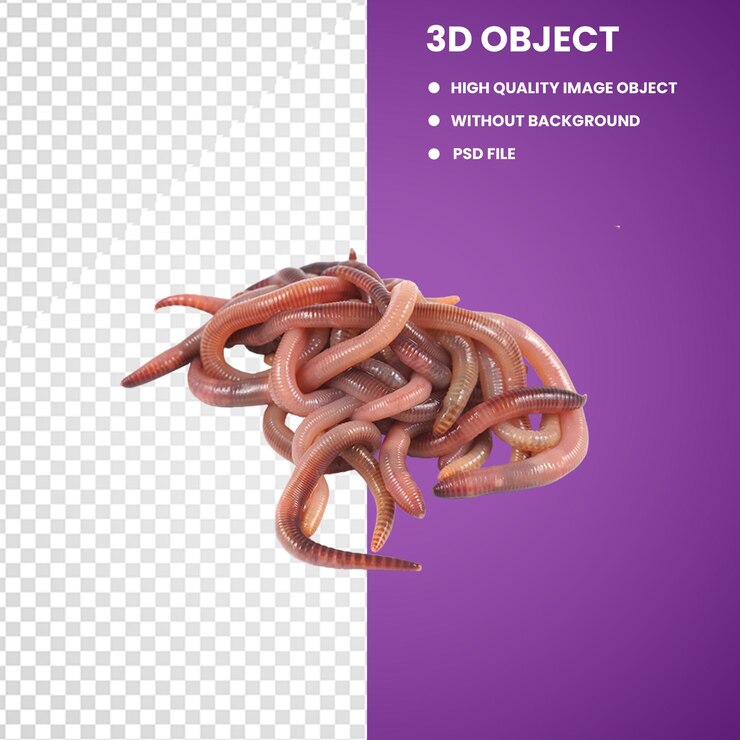 PSD o atum rabilho é muito fresco, peixe inteiro fresco.