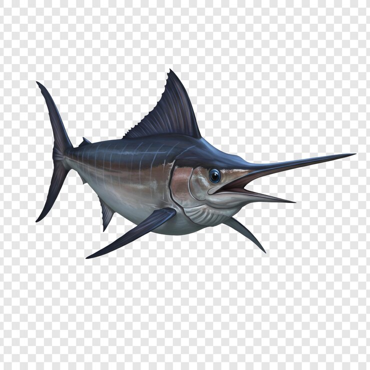 PSD o marlin majestoso, um impressionante predador do oceano azul