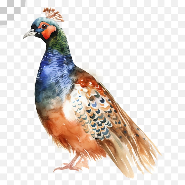 O pássaro que está no chão - png png, png transparente
