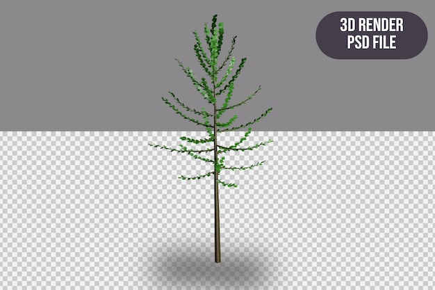 Objet De Rendu 3d Grand Arbre