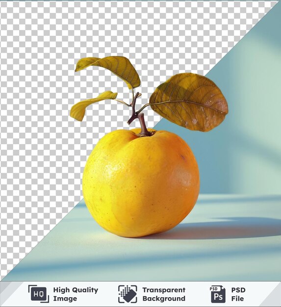 PSD objet transparent fruit de quince sur un fond transparent entouré de feuilles vertes et brunes avec un ciel bleu en arrière-plan et une ombre blanche projetée sur la table