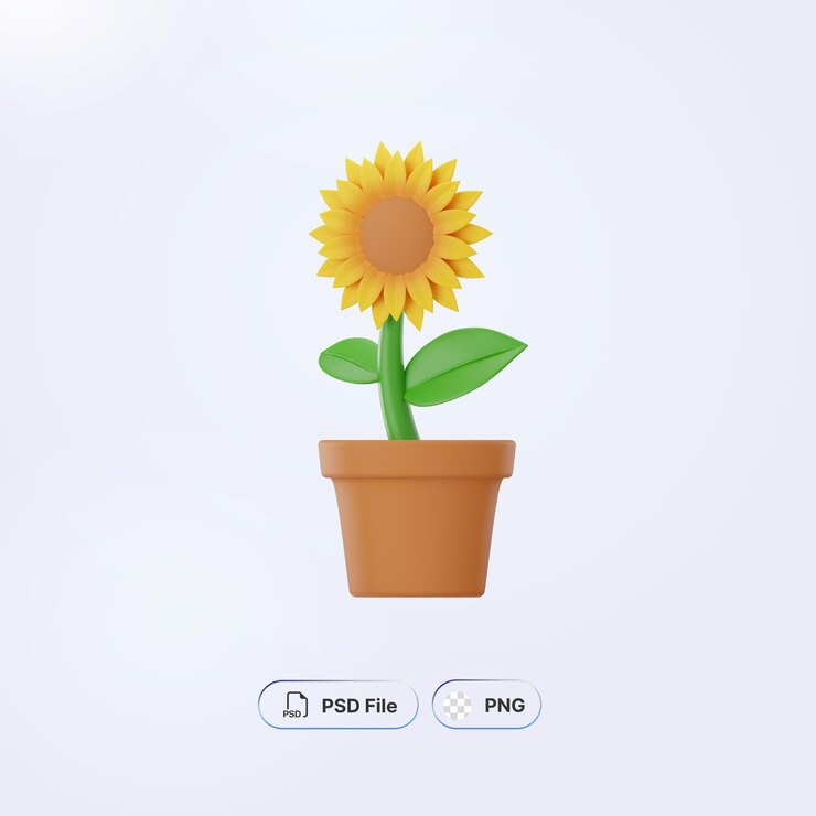 PSD objeto da primavera da flor do sol