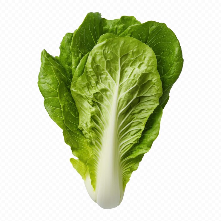 PSD objeto de lechuga en archivo png de fondo transparente