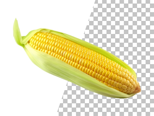 PSD objeto vegetal de maíz con fondo transparente