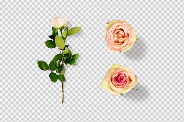 Objets mobiles3D isolés roses roses