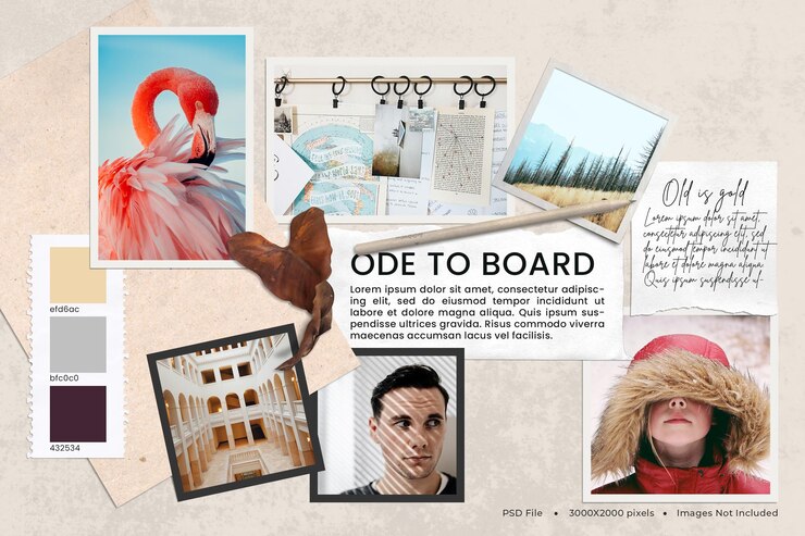 PSD ode to board superfície moodboard