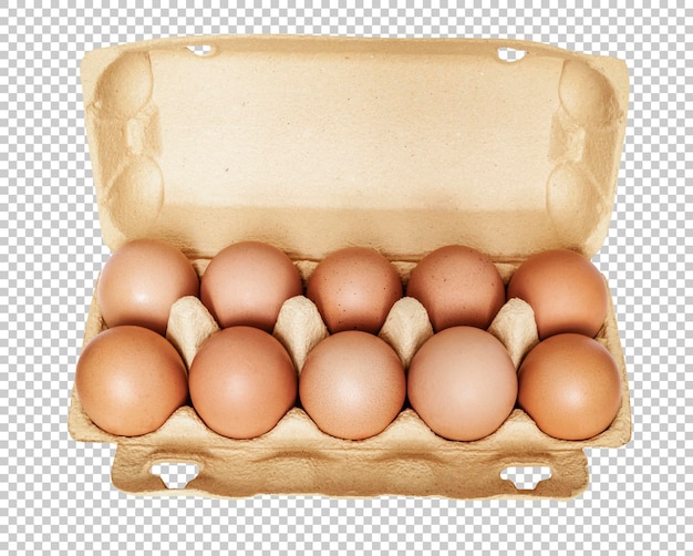 Oeufs De Poule Dans Une Boîte En Carton Ouverte Poule Alimentation Saine Isolé Sur Fond Transparent