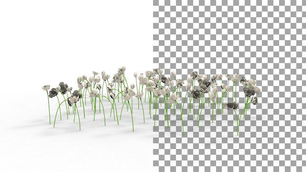 PSD off white tulpenblume mit schatten 3d-rendering